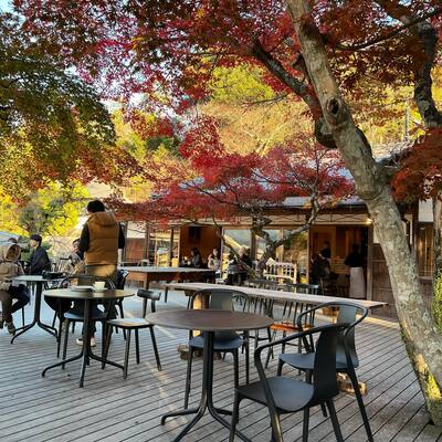 秋は何して遊ぶ？季節ならではの楽しみ方○選