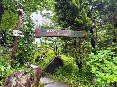 秋は何して遊ぶ？季節ならではの楽しみ方○選