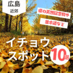 広島でイチョウ鑑賞！黄金色の景色を楽しむ10選【2025年版】