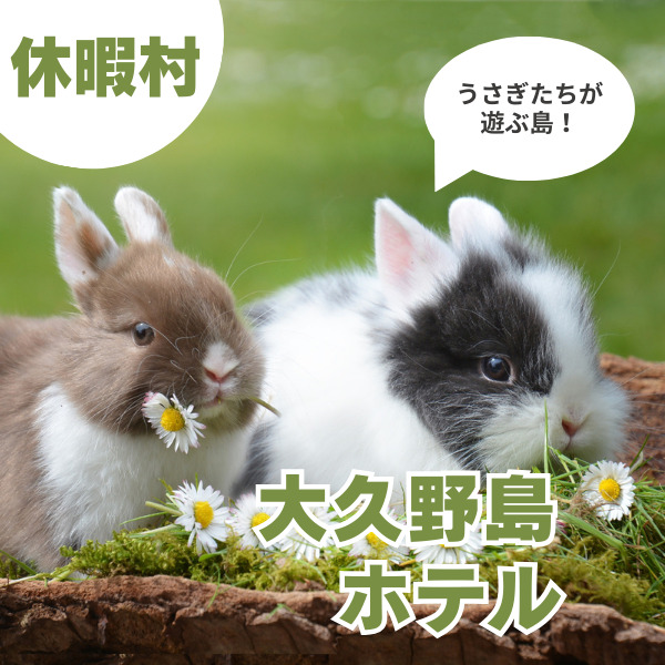 大久野島のホテル「休暇村」に泊まろう！うさぎの楽園でのんびり子連れ旅