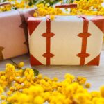 お宿の新定番！オールインクルーシブって？中四国のおすすめスポットも