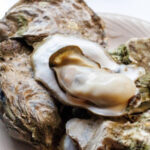 広島県のお雑煮の特徴は牡蠣？｜お餅を使わない子ども向けレシピも