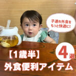 【1歳半】子連れ外食を快適に!持ち運びに便利なおすすめグッズ4選