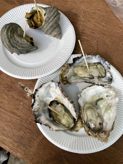 2026年 広島牡蠣祭り