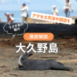 広島から大久野島へ！アクセス方法とうさぎ島の魅力を徹底解説♪