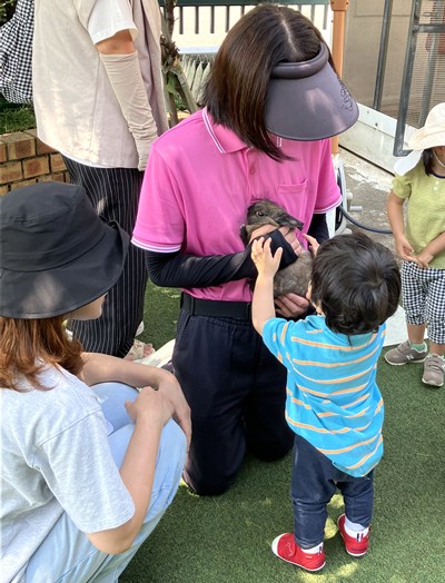 うさぎを抱く先生を囲む子どもたち