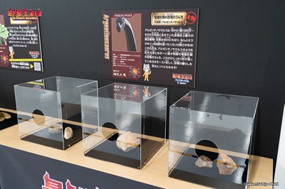 化石の展示風景