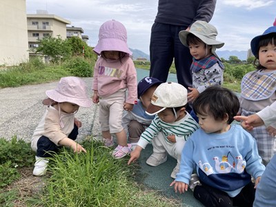 川沿いで草花を観察する乳幼児