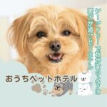 おうちペットホテル