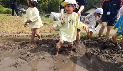 田植えをする子どもたち