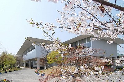 なぎさ公園小学校の春の校庭