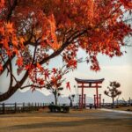 【宮島紅葉】見頃や混雑回避情報を紹介｜子連れも安心の攻略ガイド
