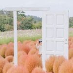 広島で秋の花畑を堪能できる絶景スポット6選!写真映えもバッチリ◎