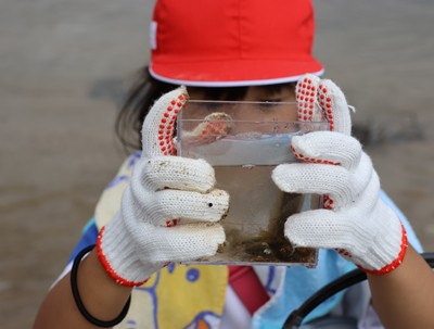 生き物をみつけてじっくり観察している子ども