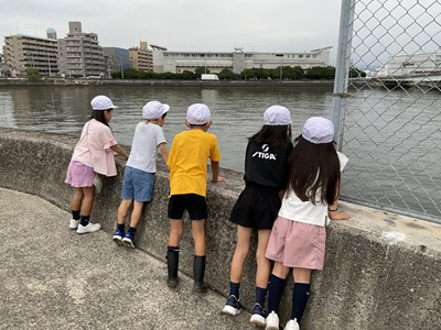 朝の散歩をしている様子